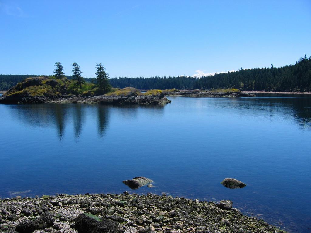 Gowlland Harbour Resort Heriot Bay Camera foto